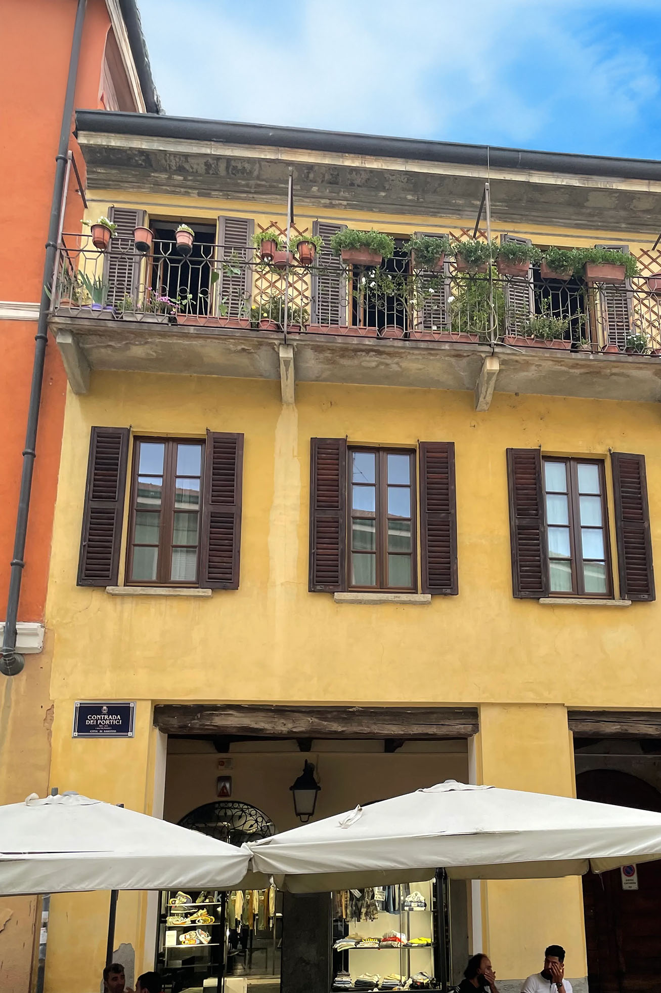 PMN saronno image v 01