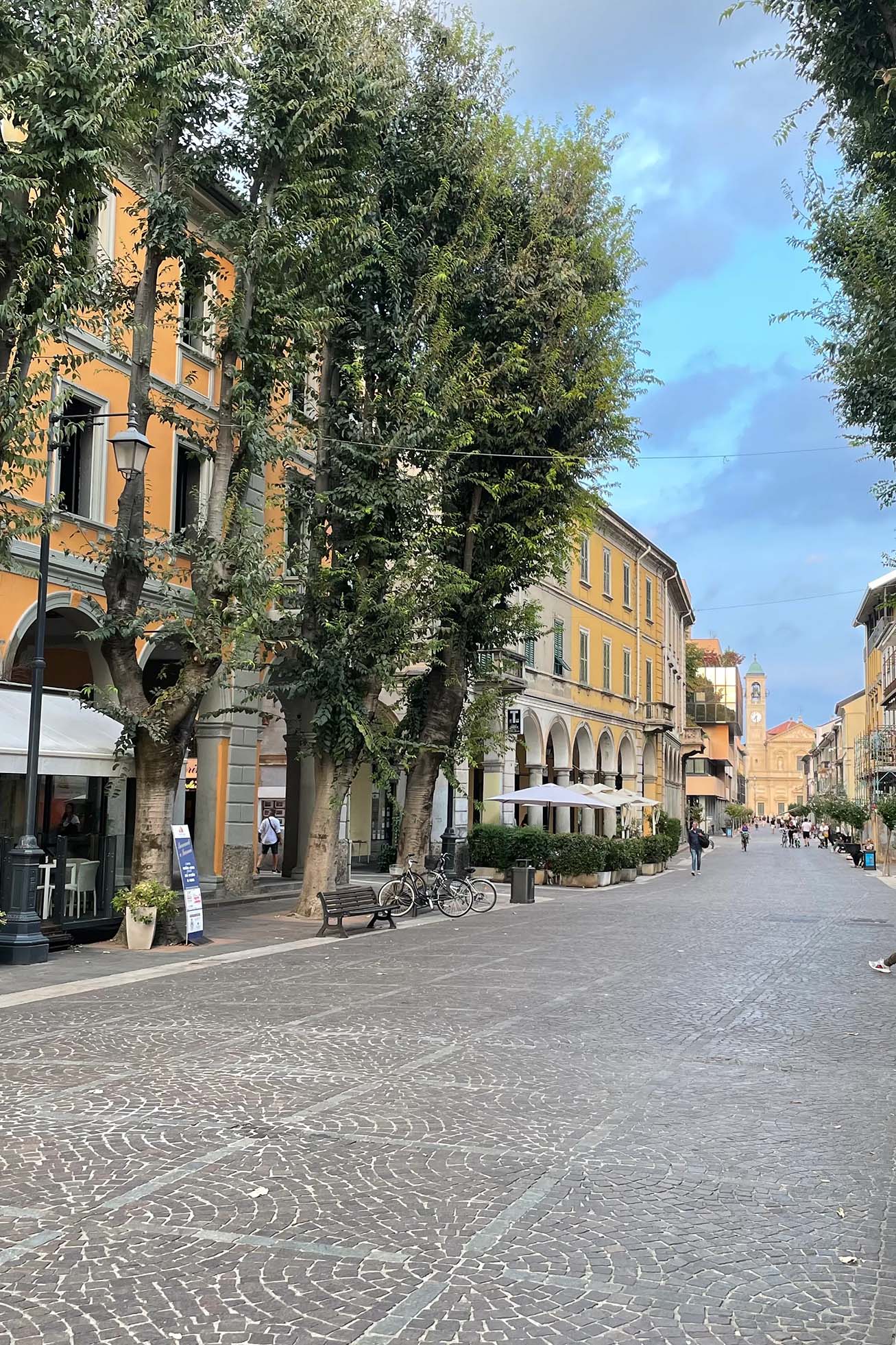 PMN saronno image v 02